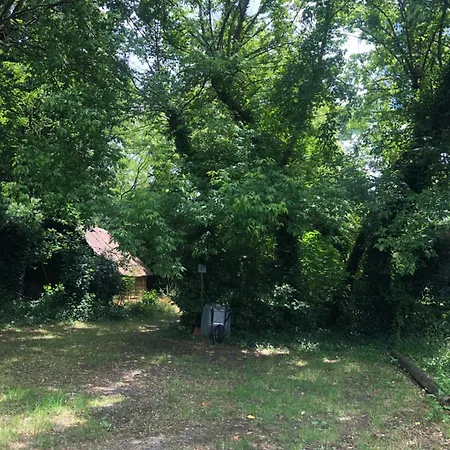 Maison Ancienne Dans Parc Boise *