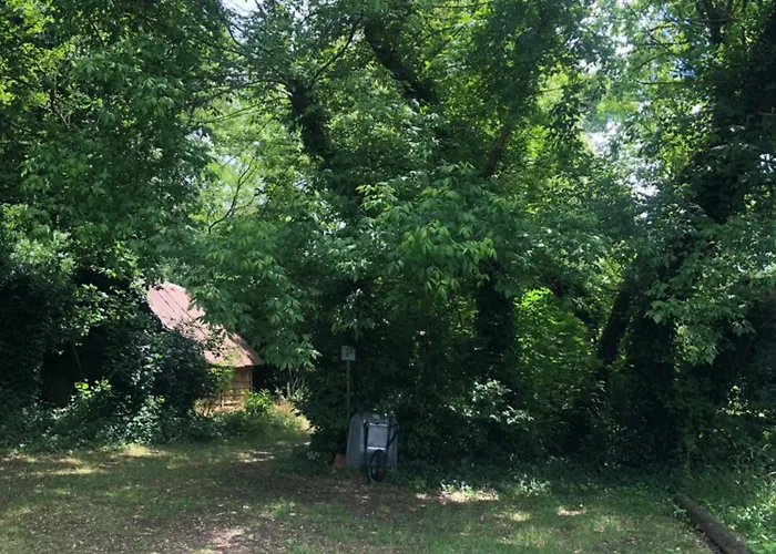 Maison Ancienne Dans Parc Boise *